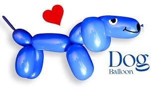 Dog Balloon Animals for Beginners-Basset Hound