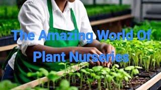 The Amazing World of Plant Nursery #PlantNursery#GrowPlants #AgricultureEducation#EducationalYouTube