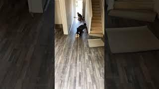#vinyl#flooring #foryou #rubioflooring