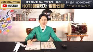 (실시간 점집) HOT애동제자 청화신당 / 이벤트점사 신점 토크 사주팔자 무당 일산점집