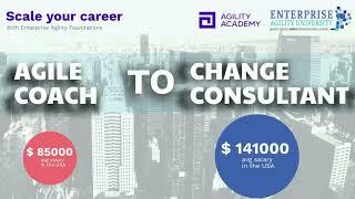 From Agile Coach to Change Consultant