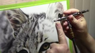 Bobcat Fur Demo