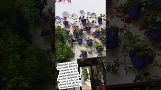 TU EXISTENCIA LLAMADA A ELEVARSE MÁS ALLÁ DE TÍ MISMO.