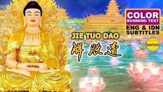 解脱道 JIE TUO DAO - NAN MO AMITABHA BUDDHA SONG - BUDDHIST MUSIC VIDEO