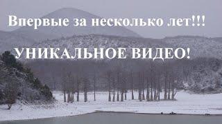 Уникальное видео из Анапы! Волшебное превращение в долине Сукко! Кипарисы - чего не увидеть летом?