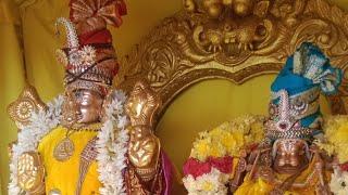 Paruveta Utsavam Day 26| P.chinthakuntla Village (10.02.2025)