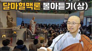 법상스님의 달마 혈맥론 몰아듣기(상)