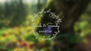 Wedding Titles - After Effects Template