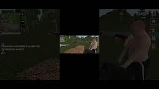 Я играю в симулятор русской деревни 3D 