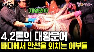 [다큐공감] 한번 바다로 나가면 4톤의 대왕문어가 잡힌다?! 1,400번을 기다려 얻은 문어 만선! | KBS 2015.01.03