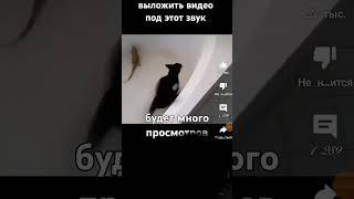 Давайте? #skibiditoilet #cover