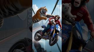 Tiger Saved the kitten from Chimpanzee!  #catstory #funny #catadventures #catvideos