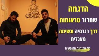 הדגמות - לשחרור טראומה דרך רגרסיה, נשימה מעגלית ולינגוויסטיקה.