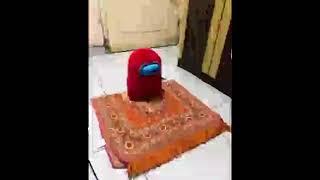 halal sus