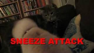 Sneeze attack!