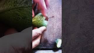 Cucumber cutting style #shortvideo #fruit #food
