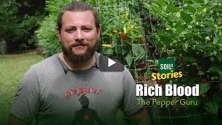 Rich Blood, The Pepper Guru - Soil3 Stories