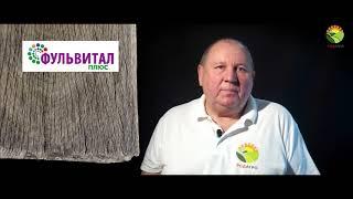 Осенняя вегетация. Применение фульвовых кислот.