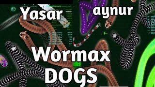 1st video .. Yasar & Aynur .. me too funny  ..  #wormax  #wormax_io #dbw_gay