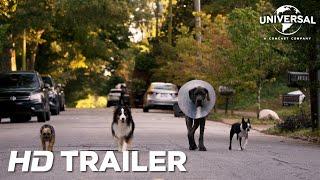 STRAYS – Official Trailer