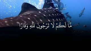 𝗧𝗮𝗳𝘀𝗶𝗶𝗿𝗸𝗮 𝗡𝘂𝘂𝘅 ᴴᴰ┇سورة نوح  Aayadaha 1-aad illaa 28-aad