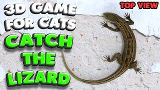 3D game for cats | CATCH THE LIZARD (top view) | 4K, 60 fps, stereo sound