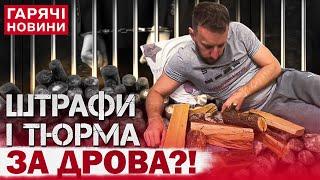 "Закон про три гілляки?!" ШТРАФИ ЧИ ТЮРМА ЗА ДРОВА! Українців розлютив новий перл Верховної Ради!