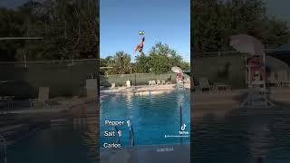 Triple Back Diving Board Attempts | Carlos Ojeda with Salt and Pepper  #triplebackflip #funny