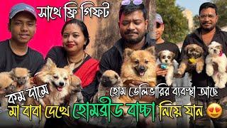 মা বাবা দেখে হোমব্রীড বাচ্চা নিয়ে যান | Low Price Puppy In Bardhaman | Dog Market in Kolkata