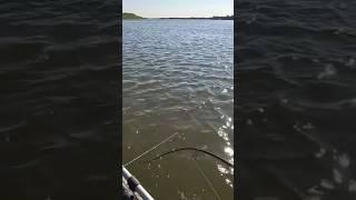 Рыба! Держал Как Мог! #рыбалка #fishing #астрахань