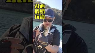 in Sydney 假期玩海 船矶 #悉尼钓鱼 #fishing