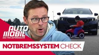 Notbremsassistenten im Ländervergleichstest - Welches Auto schneidet am besten ab? | auto mobil