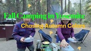 United State CA  2024 - A fall camping in Yosemite: chasing the fall colors