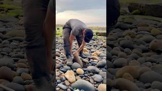 We found a Jurassic Age limestone rock and opened it, in the search for more fossils! 