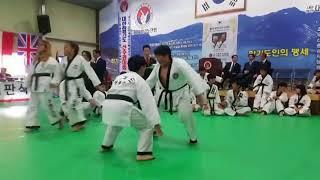 Hapkido techniques in KHF HQ