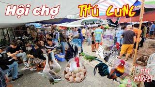 Phiên chợ chim gà cảnh có 1 0 2 tại Việt Nam.Thú cưng gì cũng có.