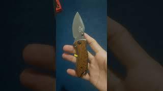 Buck X75 Folding Hunting Pocket Knife