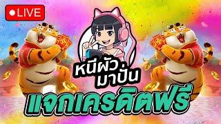  LIVE สล็อต pg pgslot สล็อตไลฟ์สด BY นาน่า เกมส์ไหนแตกดี???