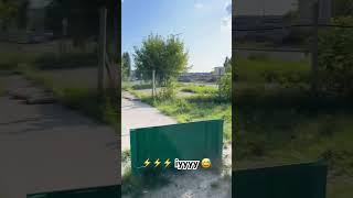 ПЕС  #пес #собака #dog #швидкість #блискавка #ukraine #recommended #shorts