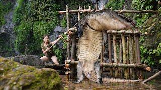 200 days of survival in the wild, setting crocodile traps, wild boar traps, alone survival