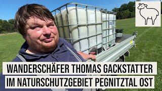 12.08.2024 Nürnberg Wanderschäfer Thomas Gackstatter im Naturschutzgebiet #Pegnitztal Ost