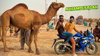 ALHAMDULILLAH APNA QURBANI KA CAMEL KHAREED LIA | MISHKAT KHAN MANDI VLOG