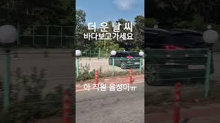 #무의도#을왕리#바다#노란꽃