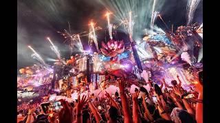 Tomorrowland 2024 - Best Songs, Remixes & Mashups, Best of EDM | Martin Garrix, Tiësto, Hardwell