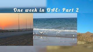 One week trip to UAE : Part2 || #uae #fujairah #khorfakkan #sharjah #travel #gtholidays #roadtrip