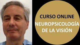 ‍ Neuropsicología de la vision: para optometristas