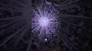 How a Kaleidoscope Works? | Exploring Symmetrical Geometric Patterns with Light and Mirrors