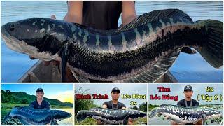 Hành trình lóc bông 2x ( tập 1 + 2 + 3 + 4 )