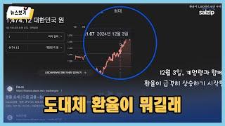 5분만 보면 환율 뉴스가 재밌어집니다 | 살집채널