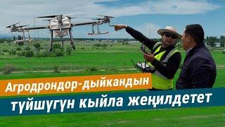 "Агродрондор-дыйкандын түйшүгүн кыйла жеңилдетет, өлкө үчүн жаңы технология"